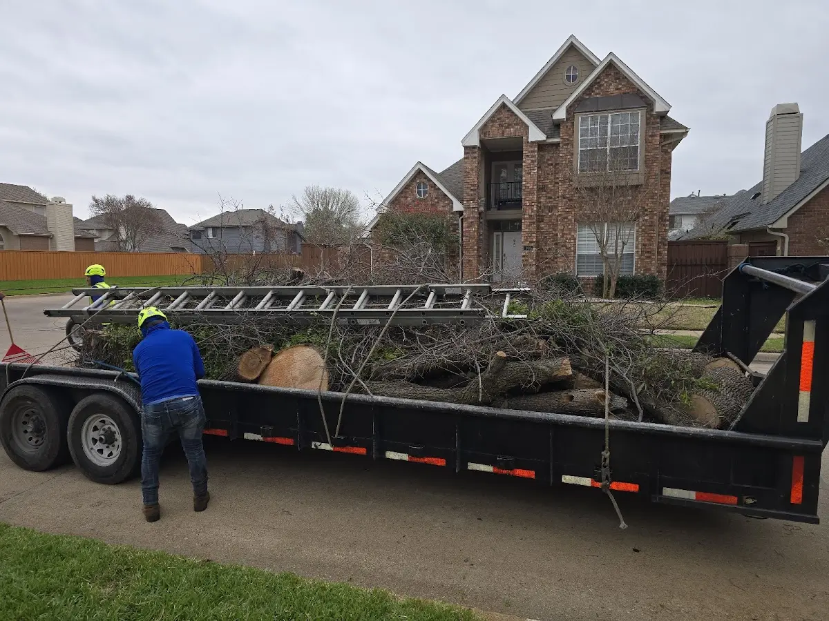 Expert Lot Clearing with proper safety equipment in Licking